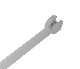 Dente d'acciaio