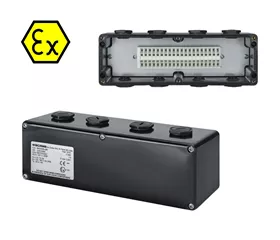Cassetta ATEX IP66, 20 morsetti a gabbia, 2,5 mm²